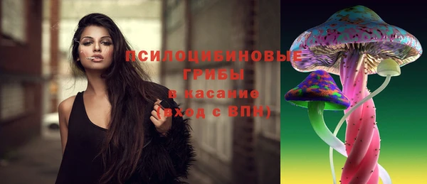 бошки Абаза