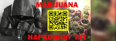 скорость Новозыбков