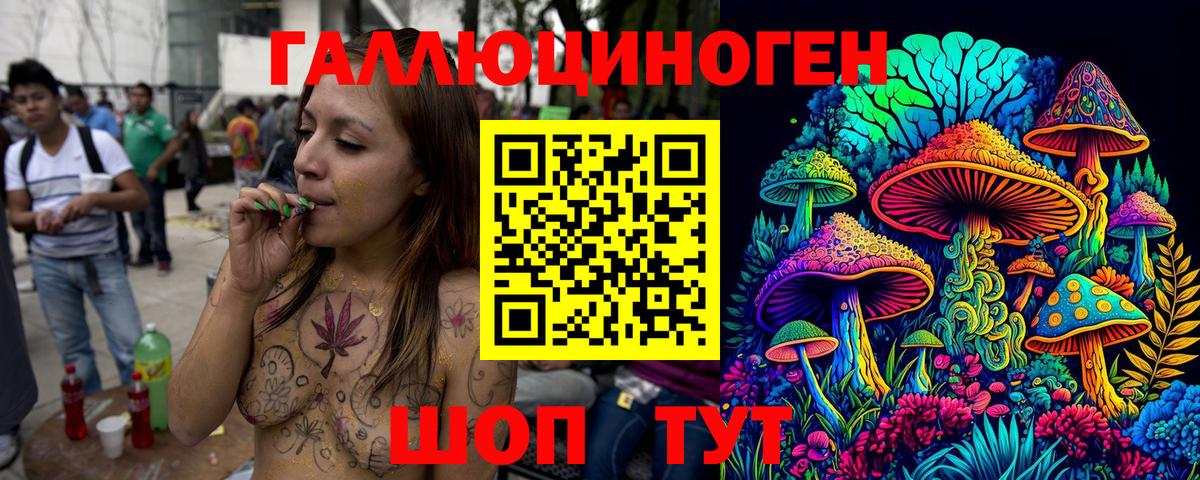 Сухой Лог  Псилоцибиновые грибы мицелий  Вход с VPN 