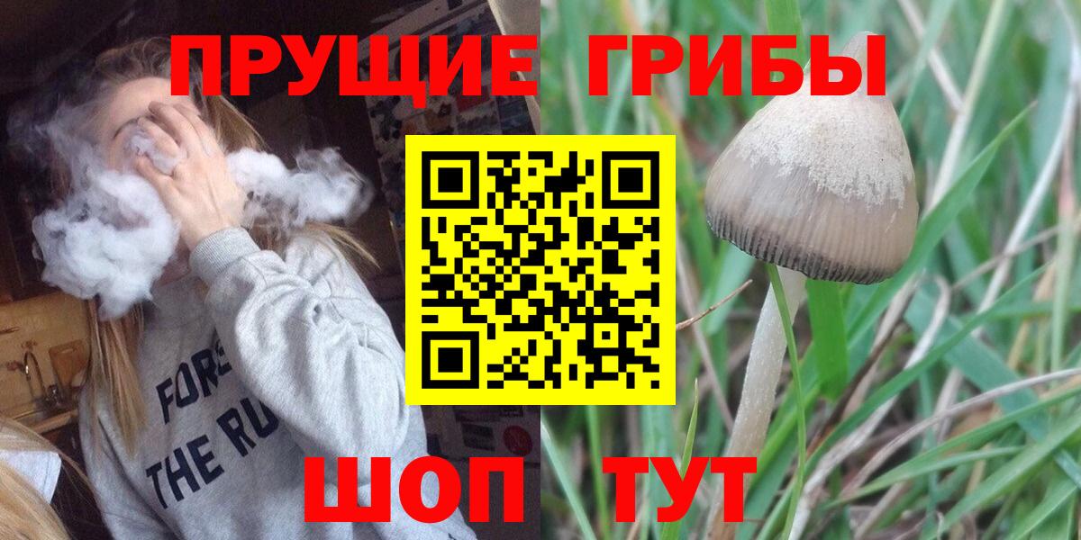 Галлюциногенные грибы Cubensis Сухой Лог