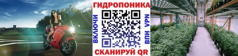 продажа наркотиков Сухой Лог Марихуана Ganja